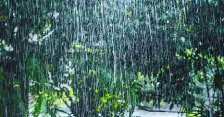സംസ്ഥാനത്ത് ഇന്നും മഴയ്ക്ക് സാധ്യത; നാല് ജില്ലകളിൽ യെല്ലോ അലർട്ട്