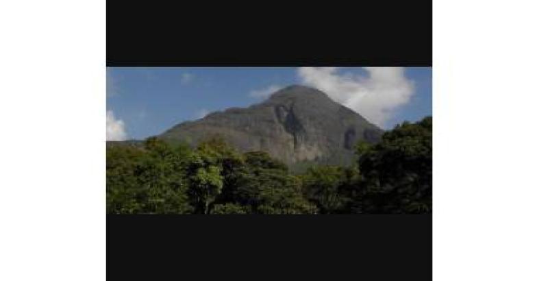 പൊന്‍മുടിയിലേക്കാണെങ്കില്‍ പോകേണ്ട ! സന്ദര്‍ശനം താത്കാലികമായി നിരോധിച്ചു