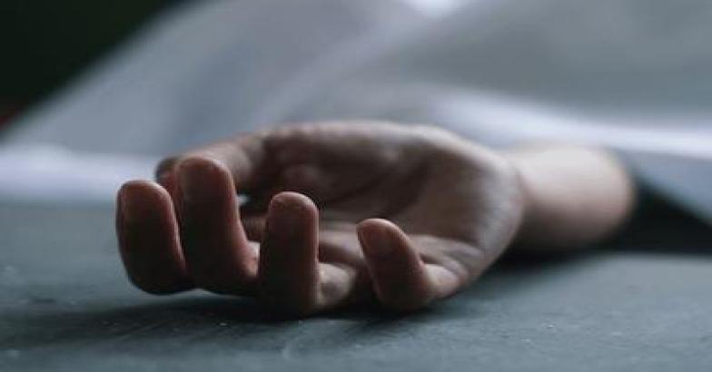 ചേലക്കരയിൽ കുടുംബത്തിൽ കൂട്ട ആത്മഹത്യാ ശ്രമം; ചികിത്സയിലായിരുന്ന വീട്ടമ്മയും മരിച്ചു, മകൻ അപകടനില തരണം ചെയ്തു