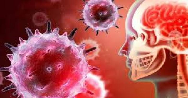 കൊല്ലത്ത് 62കാരിക്ക് അമീബിക് മസ്തിഷ്ക ജ്വരം സ്ഥിരീകരിച്ചു