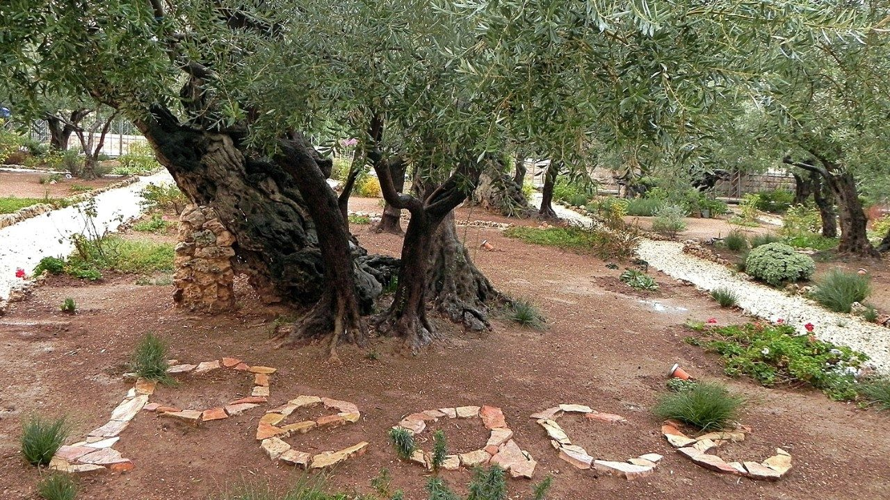 Support hope by giving to Christians in the Holy Land