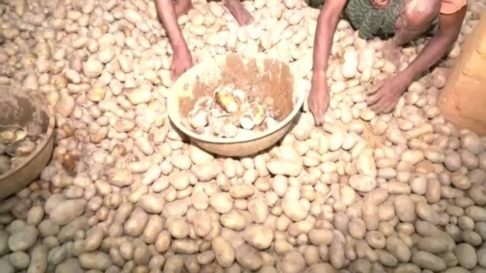 ഉരുളക്കിഴങ്ങ് കിലോയ്ക്ക് വെറും മൂന്ന് രൂപ