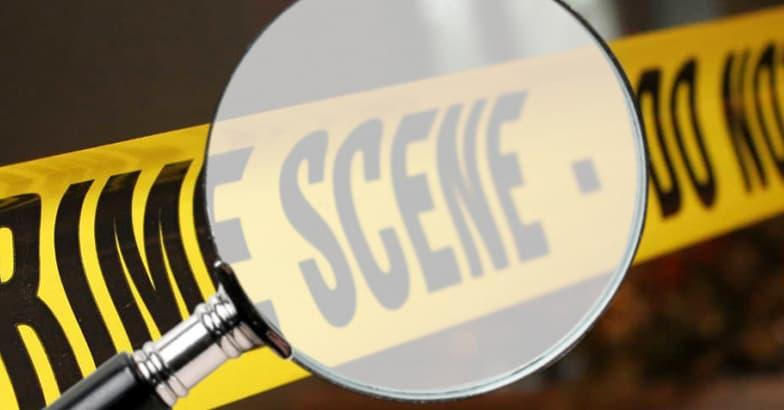 ഇടുക്കിയിൽ അമ്മയെയും മകനെയും കൊന്ന് കുഴിച്ചുമൂടിയെന്ന സംശയം; പരിശോധനയിൽ ശരീരഭാഗങ്ങൾ കണ്ടെത്തി