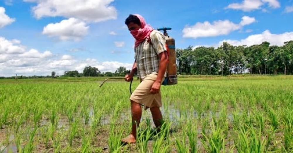 കീടനാശിനി വിൽപ്പനയിൽ കടുത്ത നിയന്ത്രണം; ശേഖരിക്കൽ, വിതരണം, വിൽപ്പന എന്നിവ ഡിജി രജിസ്ട്രിവഴിയാക്കി
