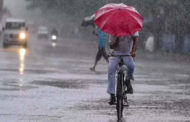 rain alert in kerala today: 12 ജില്ലകളിൽ ഇന്ന് വ്യാപക മഴ; ശക്തമായ കാറ്റിന് സാധ്യത, യെല്ലോ അലേർട്ട് പ്രഖ്യാപിച്ചു - yellow alert in many districts in kerala due to rainfall
