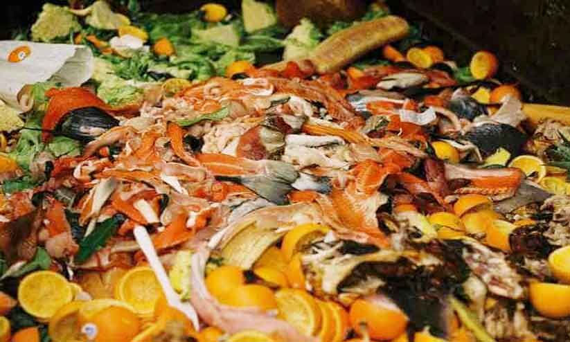 സൗദിയിൽ പ്രതിവർഷം പാഴാകുന്നത് 4,000 കോടി റിയാലിന്‍റെ ഭക്ഷണം | 4,000 crores worth of food is wasted in Saudi Arabia every year